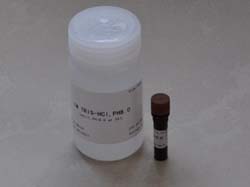 Western及IP细胞裂解液